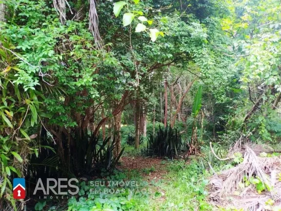 Imagem Chácara com 1 dormitório à venda, 6129 m² por R$ 600.000,00 - Monte Verde - Limeira/SP
