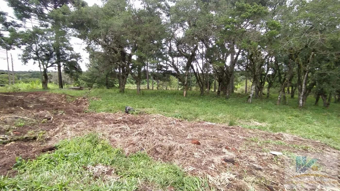 Imagem Terreno para Venda em São José dos Pinhais, Contenda, 1 dormitório