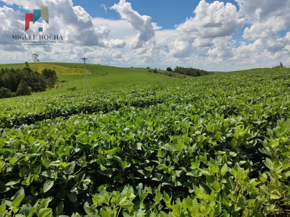 Imagem Sítio a venda região São Miguel Arcanjo SP