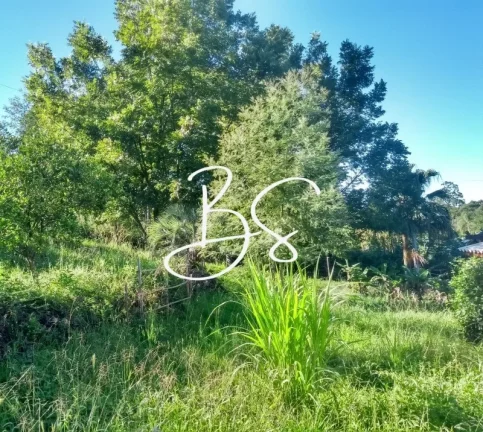 Imagem SITIO RURAL em IGREJINHA - RS, Estrada Geral