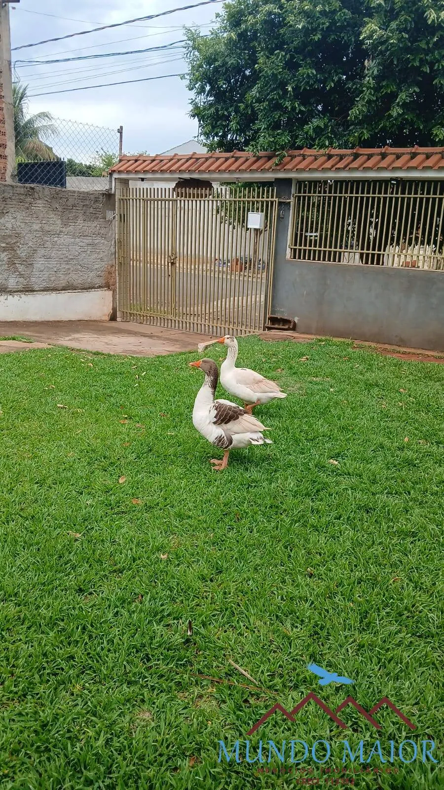 Imagem Refúgio de Paz em Panorama-SPCasa com RioChurrasqueira e Garagem C/Permuta