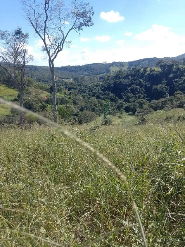 Imagem Ótima Oportunidade em Itaguara/MG: Terreno de 6 Hectares no Povoado Boa Vista