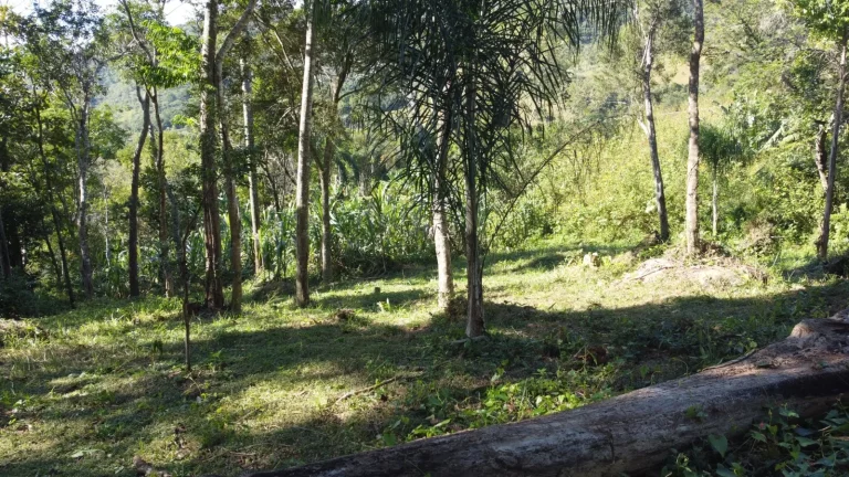 Imagem Terreno Espaçoso em Macacu, Garopaba-SC: 20 mil m², Vista para Lagoa e Mar