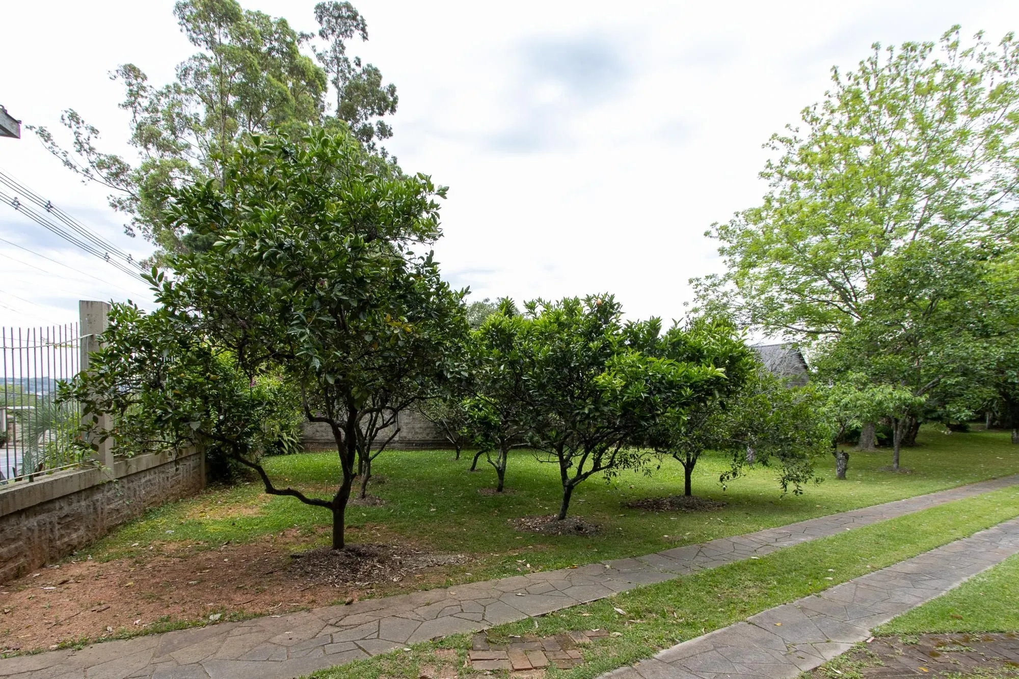 Imagem Casa térrea, nova, 3 quartos, 1 suite - Bairro Belém Velho