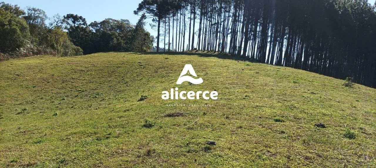 Imagem Terreno à venda com , 30.000m² em Vargedo Rancho Queimado