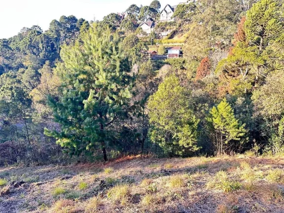 Imagem Lote Exclusivo com Vista Panorâmica