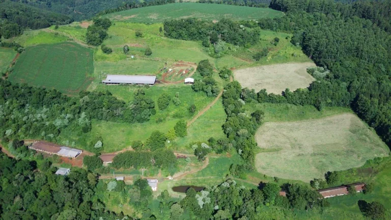 Foto do imóvel Área Agrícola para Venda em Lindóia do Sul, Centro em Leonelo Bertol