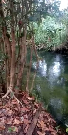 Imagem CASAL IMÓVEIS VENDE FAZENDA NO MARANHÃO COM 2.812 ALQUEIRES