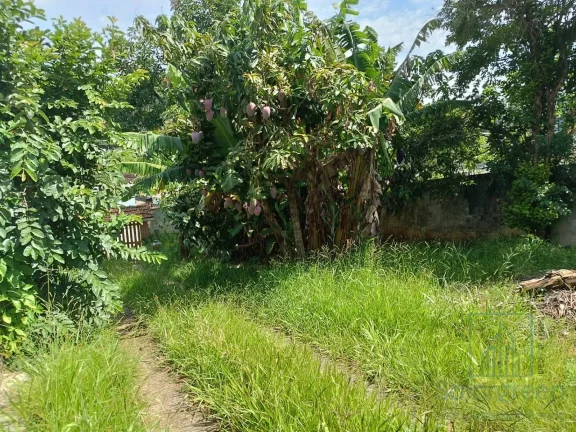 Imagem Casa à Venda em Terra Preta - 445m² de Terreno
