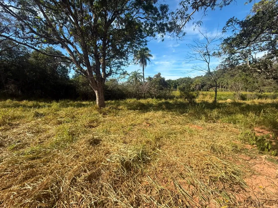 Imagem FAZENDA À VENDA EM CARMÓPOLIS DE MINAS /Área total: 315 hectares
