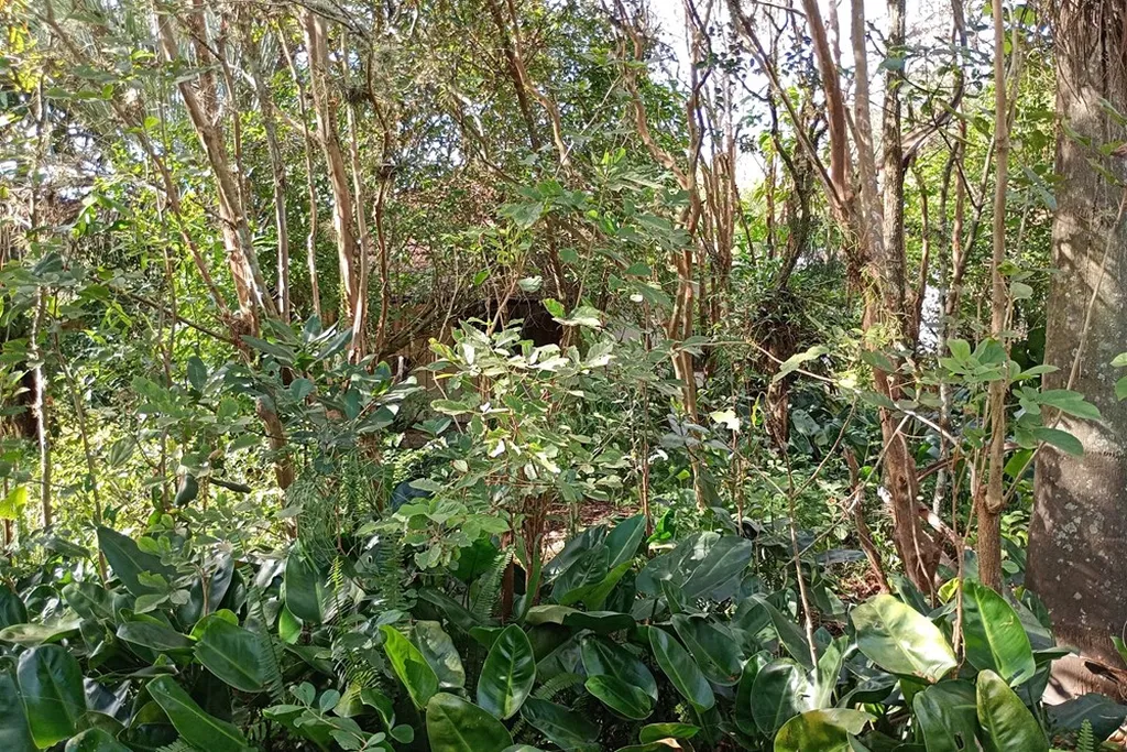 Imagem Fazenda em Belém Novo