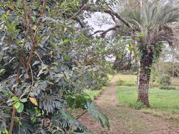 Imagem PRÓXIMO VILA VENTURA, 1.2 Hectares, junto ao asfalto, casa simples, Viamão.