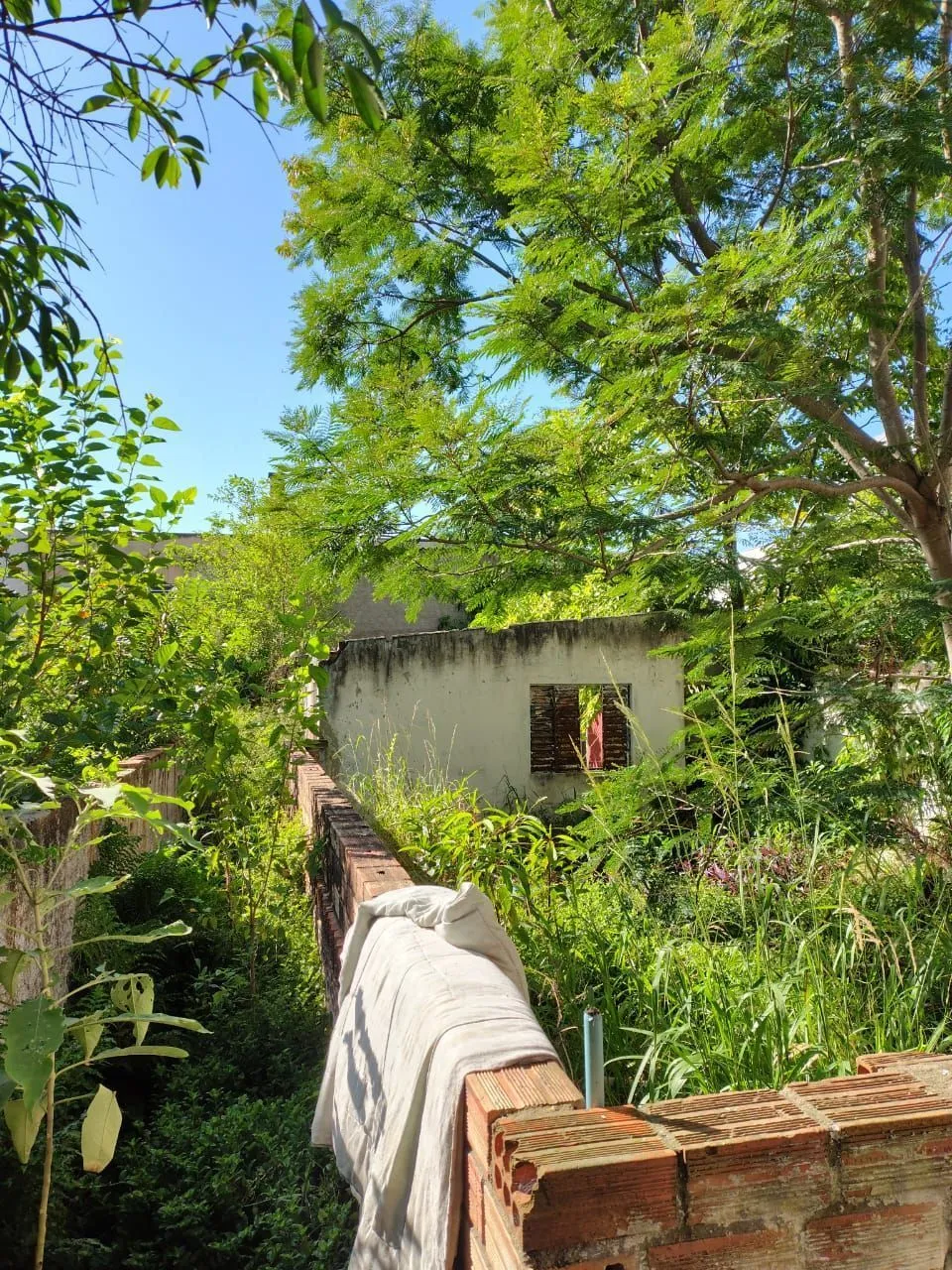 Imagem Terreno com 349,93m²