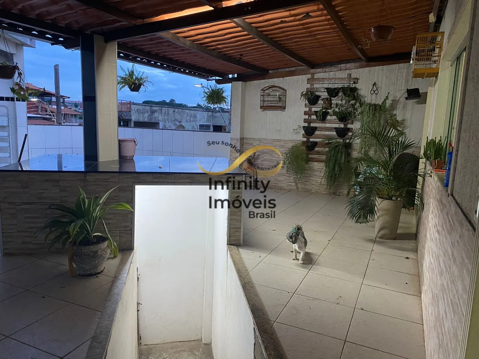 Imagem Pavilhão/Galpão à venda no bairro São Salvador - Belo Horizonte/MG