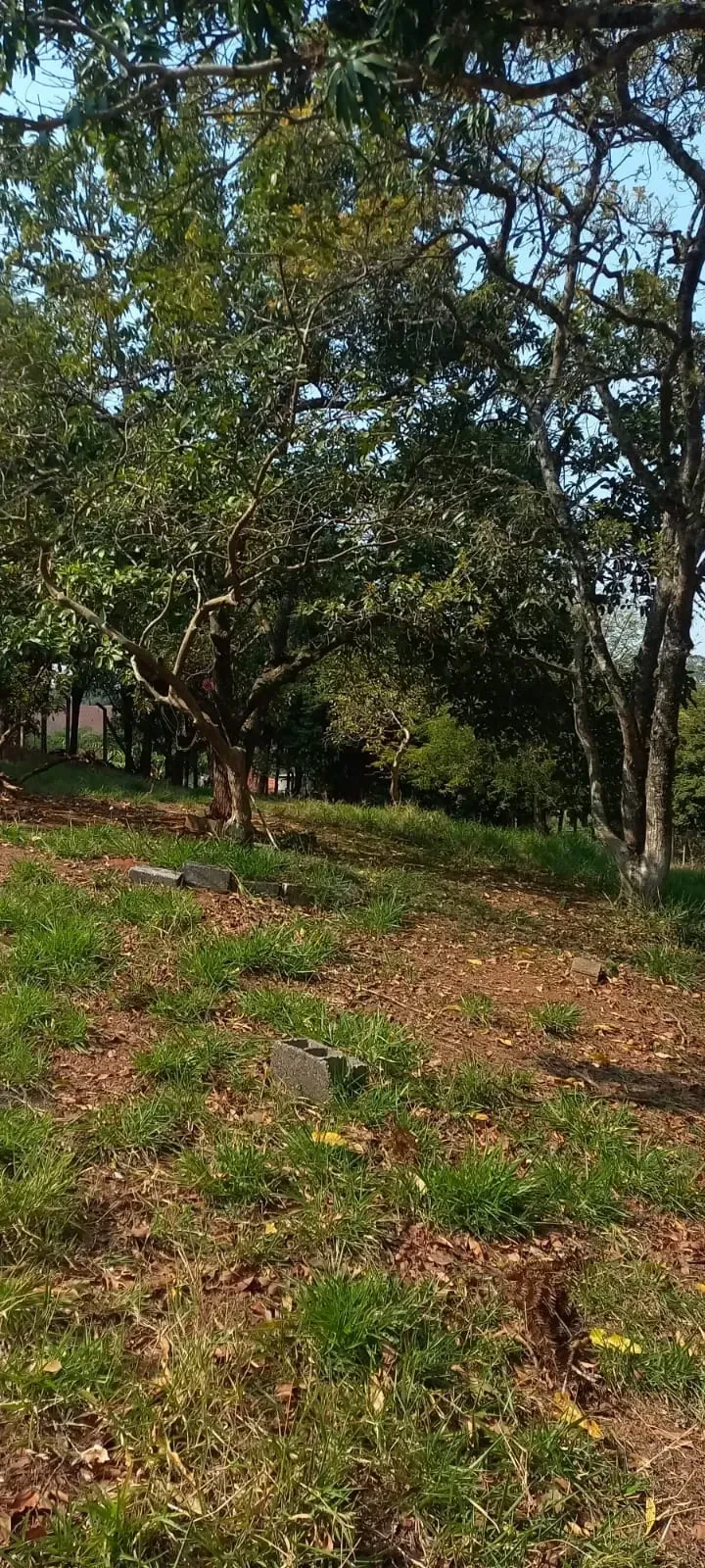 Imagem Chácara com 3 Quartos à Venda, 6.693 m² em Condomínio Quinta da Baroneza II - Bragança Paulista