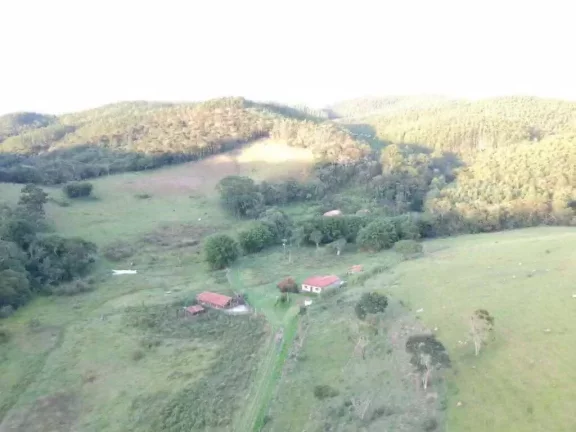 Imagem Fazenda Piracaia 21 Alqueires à 5 km cidade!!