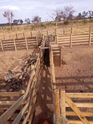 Imagem Fazenda a VENDA, Região Ribas do Rio Pardo/MS - 82 alqueires