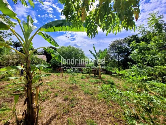 Imagem Chácara à venda 2 Quartos, 5600M², Dom Pedro I, Londrina - PR