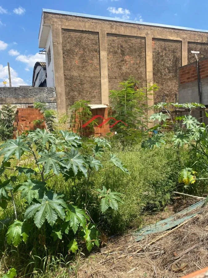 Imagem Terreno para Venda em Sumaré, Jardim São Francisco (Nova Veneza)
