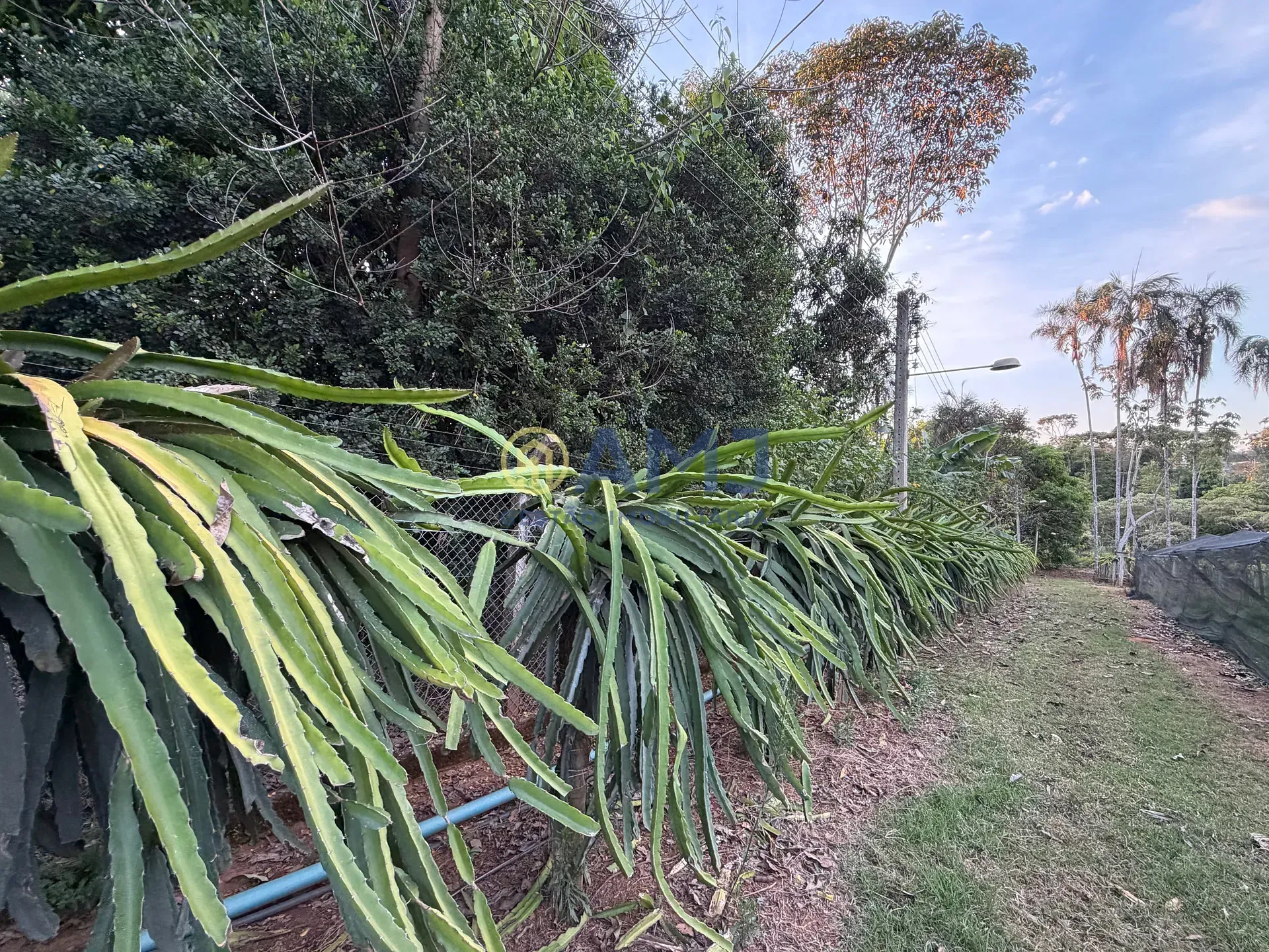 Imagem DUAS CHÁCARAS VIZINHAS À VENDA | HIDROLÂNDIA/GO