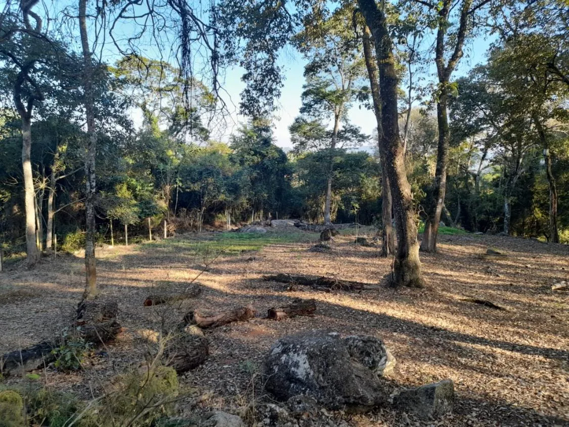 Imagem TERRENO EM CONDOMÍNIO -RESSACA- IBIUNA