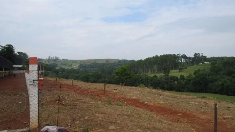 Imagem Área Agrícola para Venda em Peritiba, Lageado Mirim