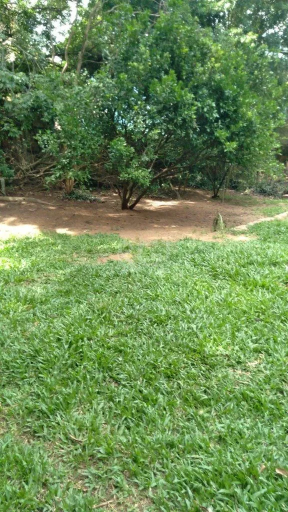 Imagem Casa para Venda - 279.1m², 4 dormitórios, sendo 1 suites, 5 vagas - Vila Nova