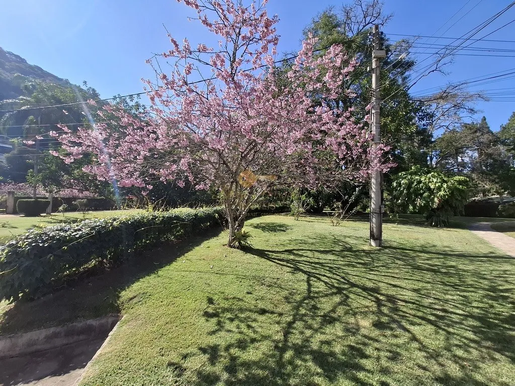 Imagem Apartamento para Venda em Teresópolis / RJ no bairro Posse