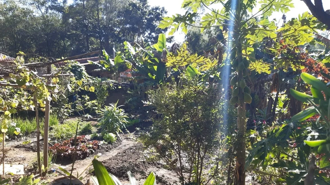 Imagem Chácara à venda 3 Quartos, 1 Suite, 3 Vagas, 500M², Colméia, Pindamonhangaba - SP