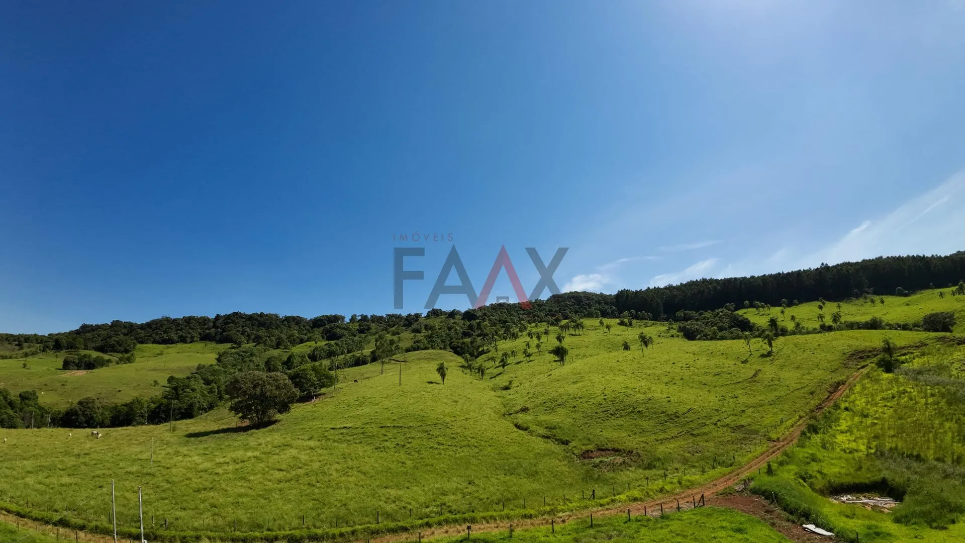 Imagem Chacara Descompressão FAAX Imóveis no Alagado de Reserva do Iguaçu