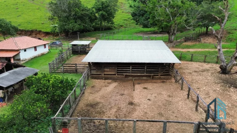 Foto do imóvel Fazenda a venda 82 alqueires em Campinacu -Goiania - GO