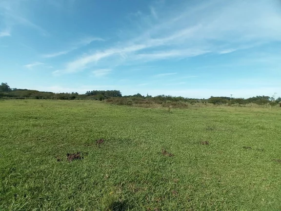 Imagem Linda área com 2 Ha., Casa, Galpão, Lavouras e Açudes, Águas Claras, Viamão