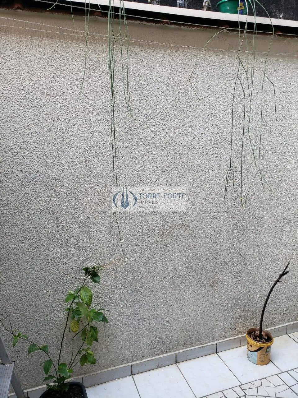 Imagem Casa com 2 dormitorios e 1 vaga no Parque São Lucas