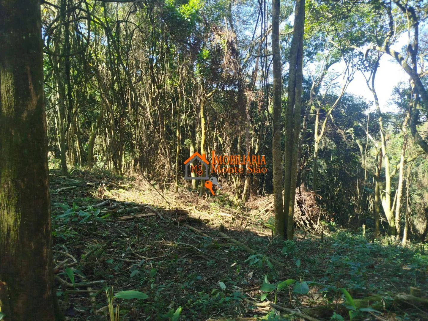 Imagem Terreno à venda, 3.068m² por R$ 212.000 - Parque Santos Dumont - Guarulhos/SP