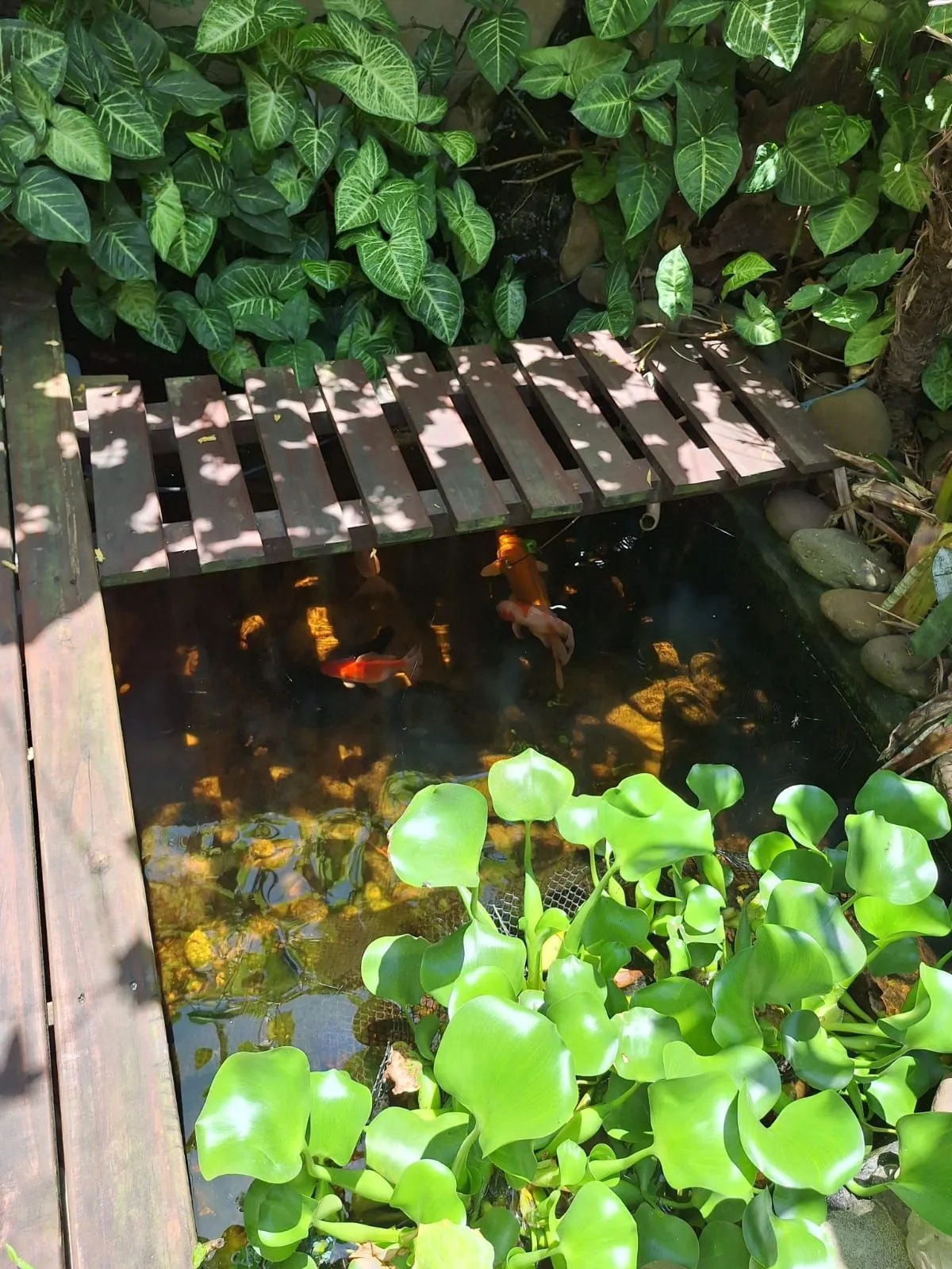 Imagem Casa em condomínio Villagio Di Venezia