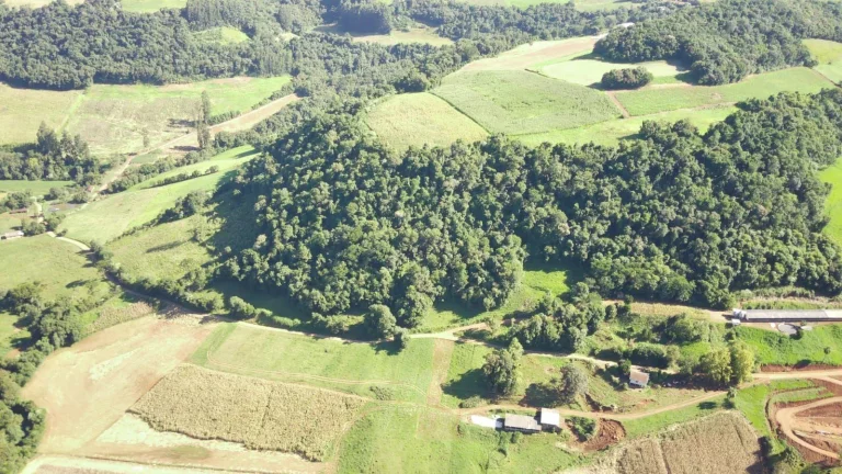 Imagem Área Agrícola para Venda em Lindóia do Sul, Rural