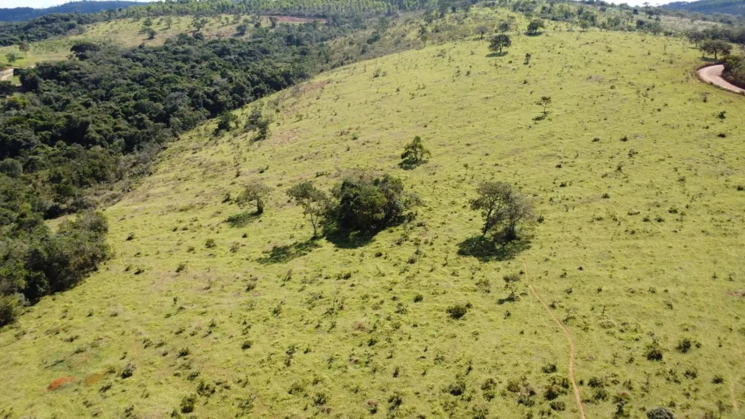 Imagem Excelente terreno rural com área de 10 hectares a venda em PASSA TEMPO/MG