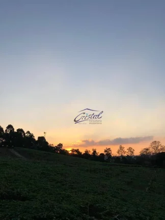 Imagem Casa com 4 dormitórios à venda, 249 m² - Granja Viana - Cotia/SP