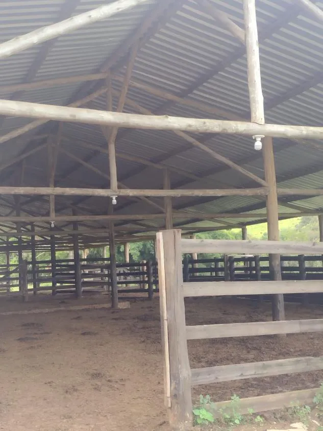 Imagem Excelente fazenda com 194 hectares de terra de cultura disponível para venda