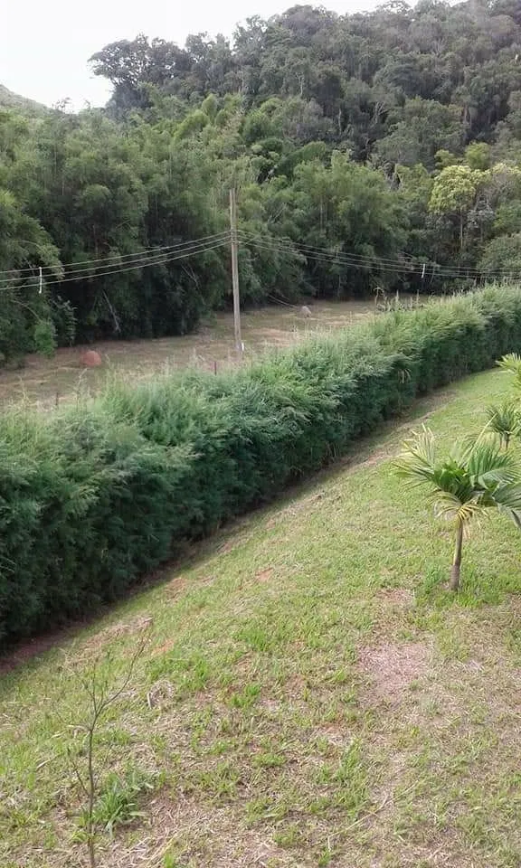 Imagem Chácara à venda 2 Quartos, 24924M², Zona Rural, Guaratinguetá - SP