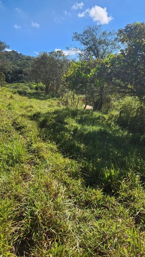 Imagem Vende-se excelente terreno em Bonfim/MG com Área total de 23 hectares, toda formada