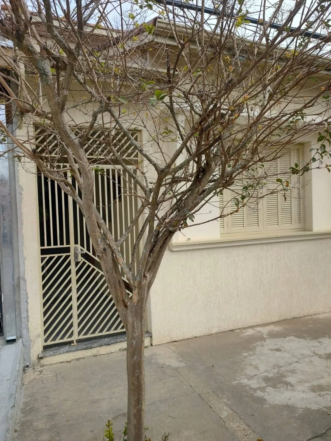 Imagem Casa à venda, Vila Nair, Pindamonhangaba, SP