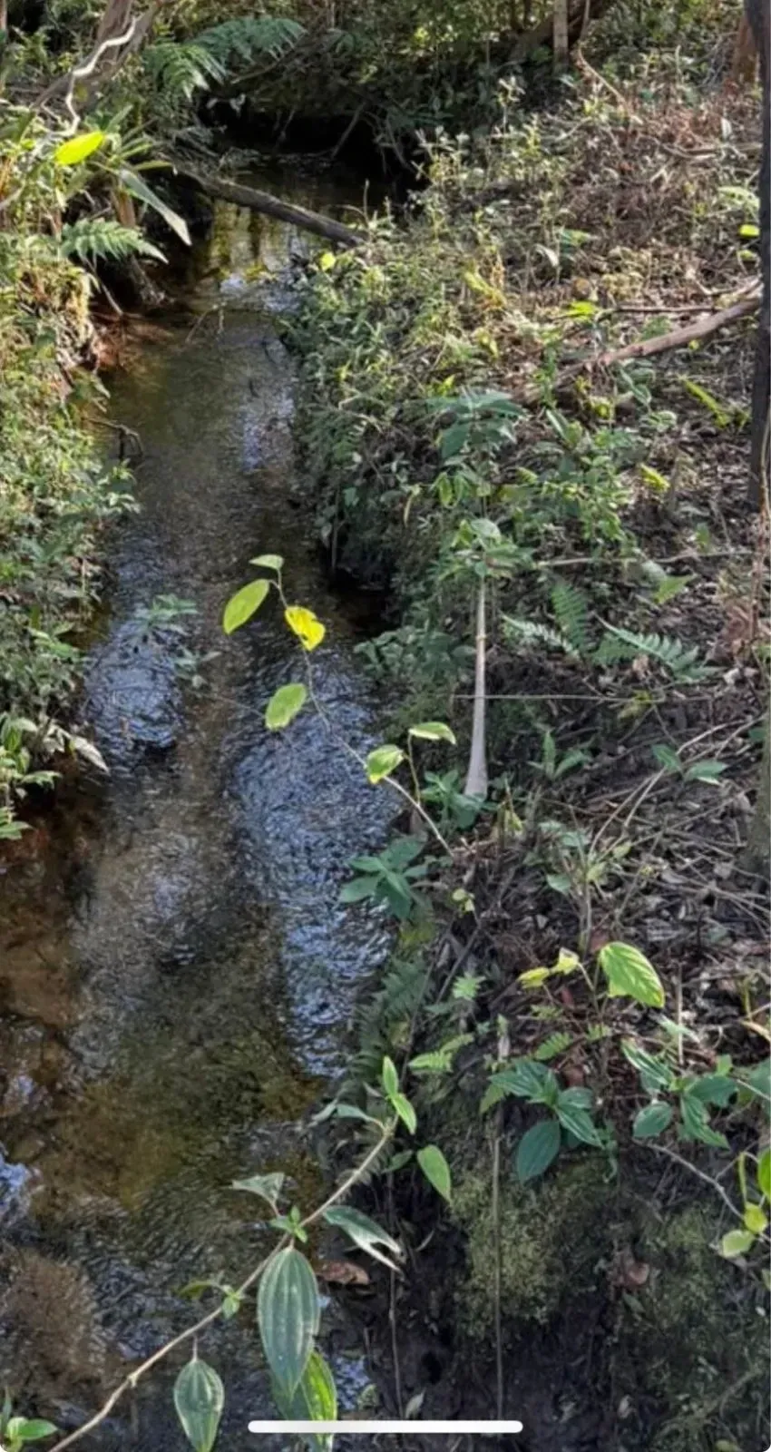 Imagem Terreno à Venda, 1000 metros em Verava - Ibiúna