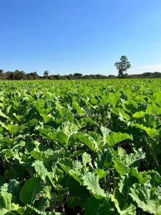 Imagem Área à venda, 550000 m² por R$ 15.000.000,00 - Rancho Três Lagoas - Igarapé/MG