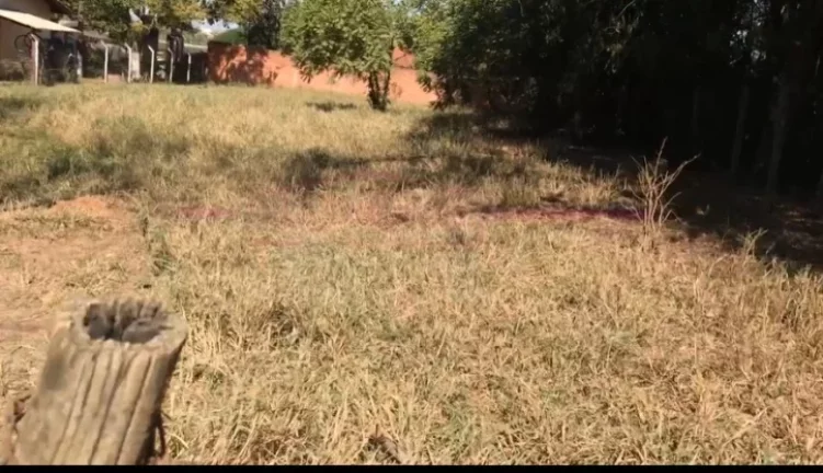 Imagem Terreno para chácara