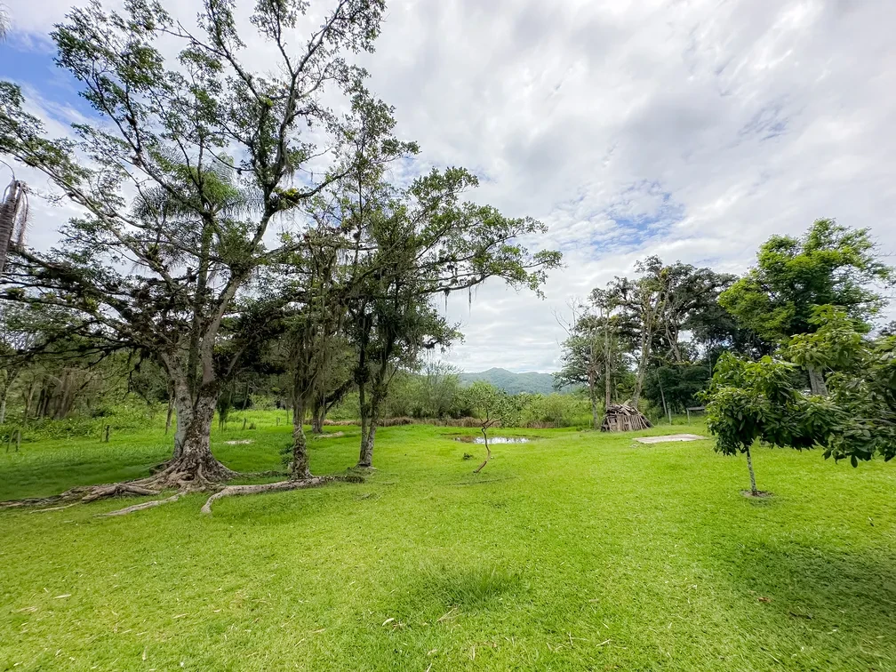 Imagem Chácara com 3 Quartos à Venda, 15595 m² em Área Rural de Camboriú - Camboriú