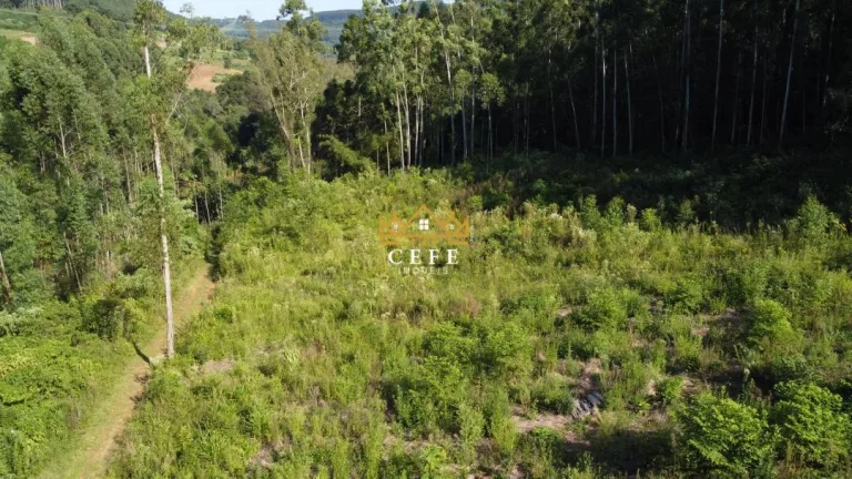 Imagem Chácara - Sítio com 1 Dormitorio(s) localizado(a) no bairro Pinhal Alto em Nova Petrópolis / RIO GRANDE DO SUL Ref.:1472