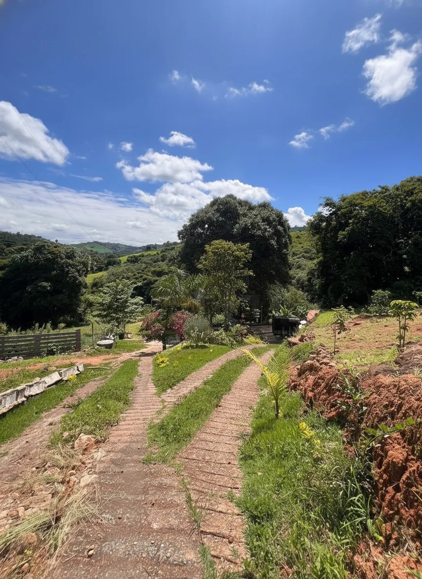 Imagem Chácara 1 m² à venda em Rio do Peixe, Campestre