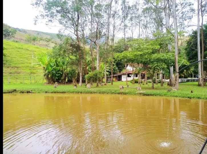 Imagem Chácara à venda 3 Quartos, 1 Suite, 488000M², Zona Rural, Monteiro Lobato - SP