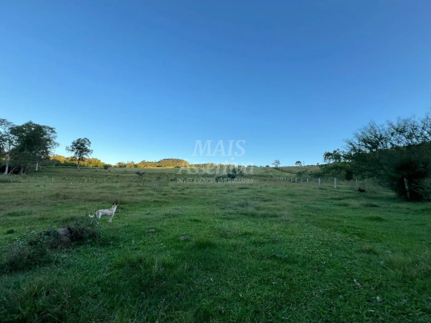 Foto do imóvel Chácara de 10 hectares para venda em Lomba Grande, Novo Hamburgo